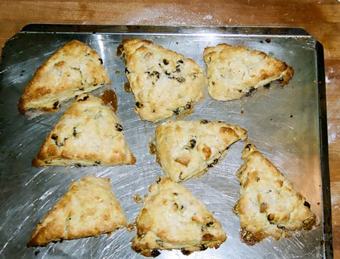 scones out of oven