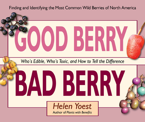 Good Berry Bad Berry Cover